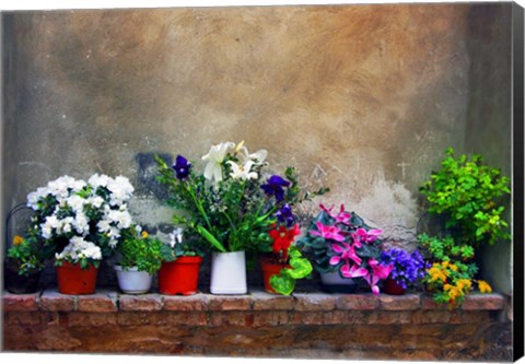 Framed Wall Flowers Print