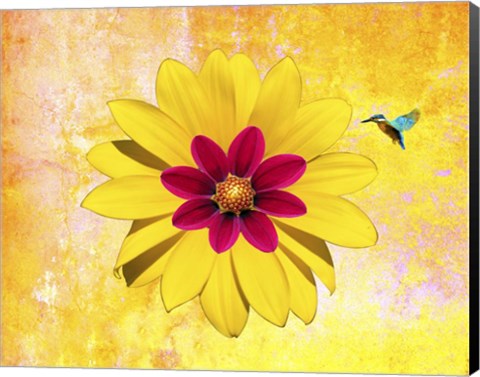 Framed Flower and Bird Print