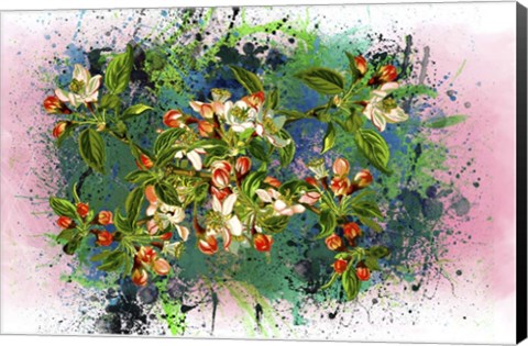 Framed Flower Design 2 Print