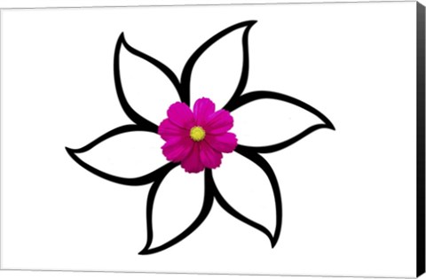 Framed One Pink Flower Print