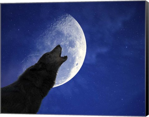 Framed Wolf Night Print