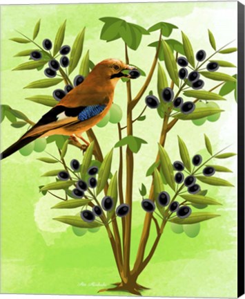 Framed Bird on Plant Print