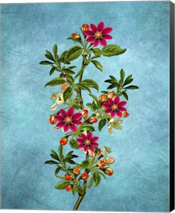 Framed Color Leaves 2 Print