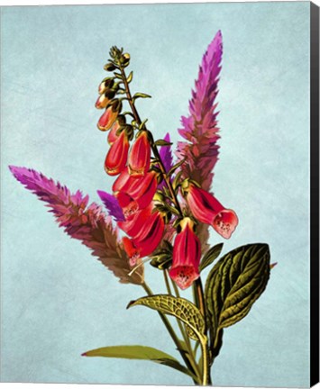 Framed Color Leaves B Print