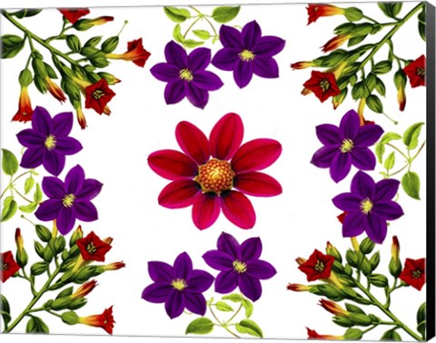 Framed Floral Design E Print