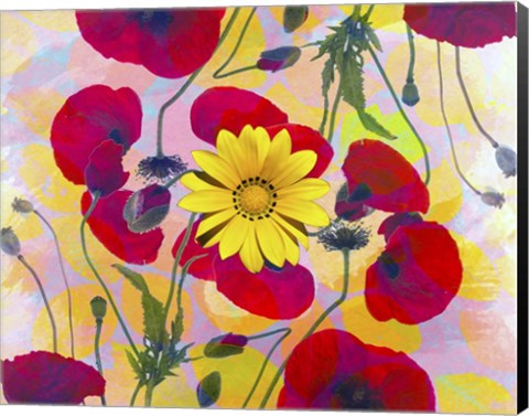 Framed Floral Design H Print