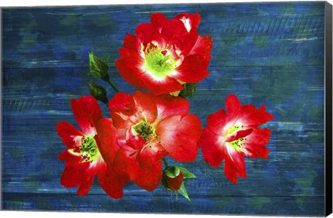 Framed Floral Design J Print