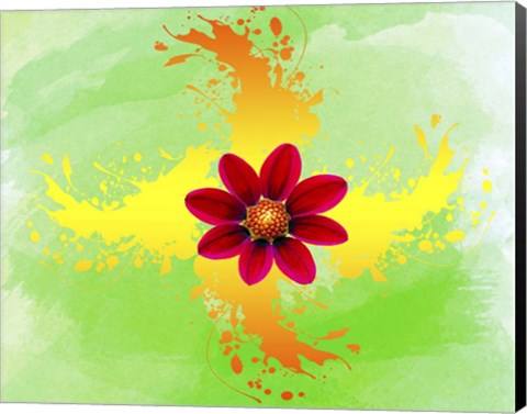 Framed Floral Design K Print