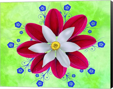 Framed Floral Design P Print