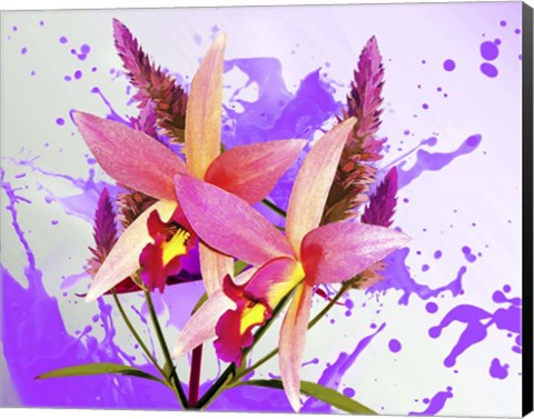 Framed Floral Design V Print