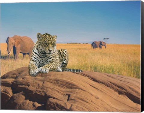 Framed Leopard Print