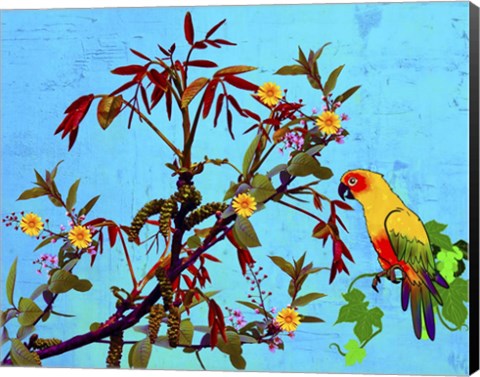 Framed Parrot in Garden 2 Print