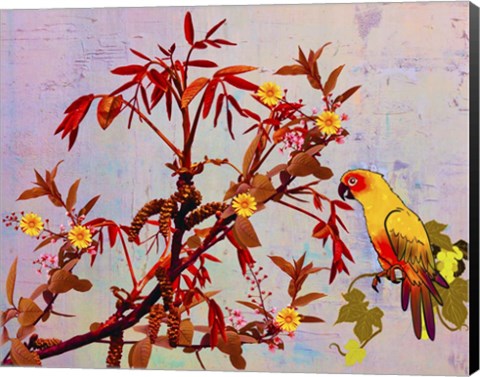 Framed Parrot in Garden Print
