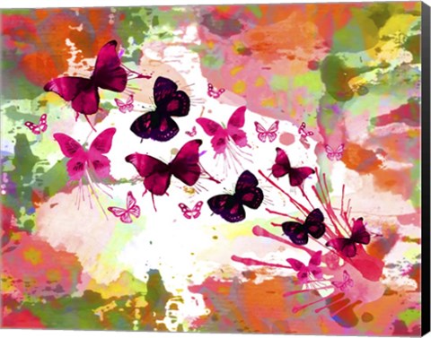 Framed Butterflies 2 Print