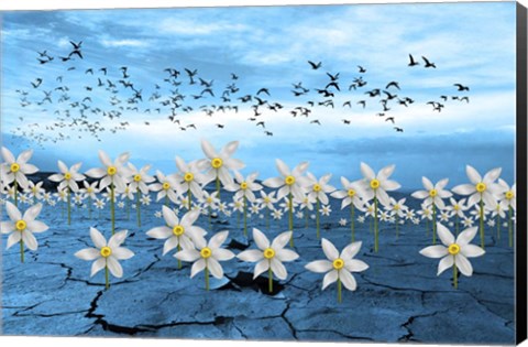 Framed Dead Earth Print