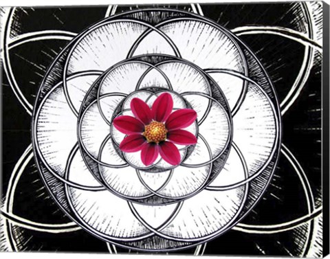 Framed Geometry Flower Print