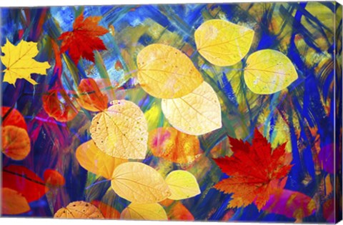 Framed Leaves 225 Print