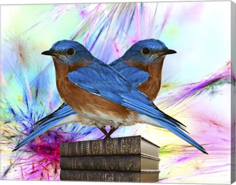 Framed Twin Blue Bird Print