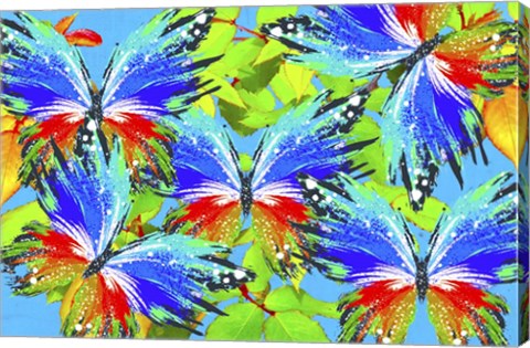 Framed Butterflies 44 Print