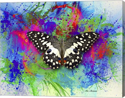 Framed Color and Butterfly 2 Print