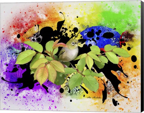 Framed Color Bird Print