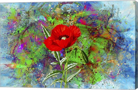 Framed Color Explosion 13 Print