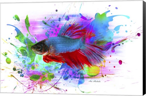 Framed Fish and colors Print