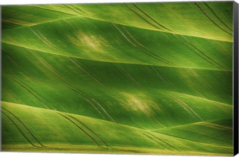 Framed Greenland Print