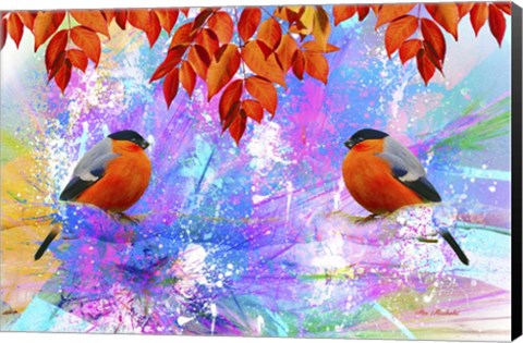 Framed Twin Bird Print