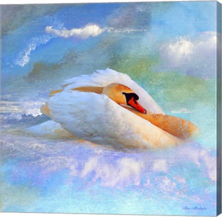 Framed Beautiful Swan 2A Print