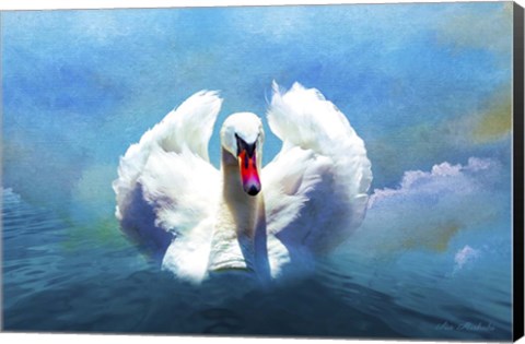 Framed Beautiful Swan Print