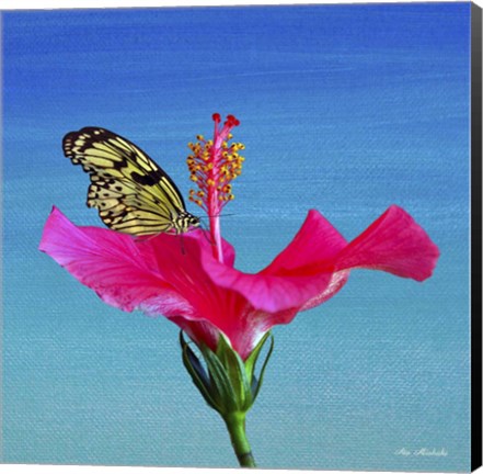 Framed Butterfly And Flower 3X Print