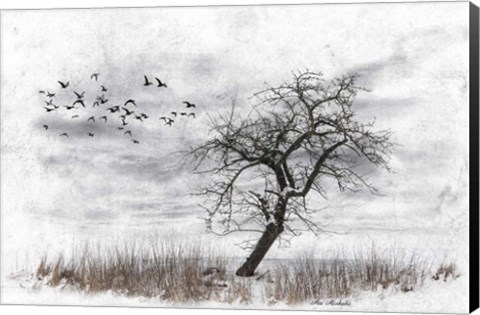 Framed Dead Winter Tree 2 Print