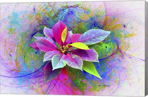 Framed Flower Design 7N Print