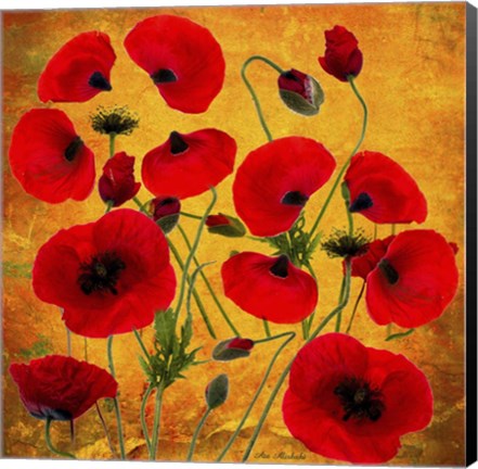 Framed Poppy Flowers 2 Print