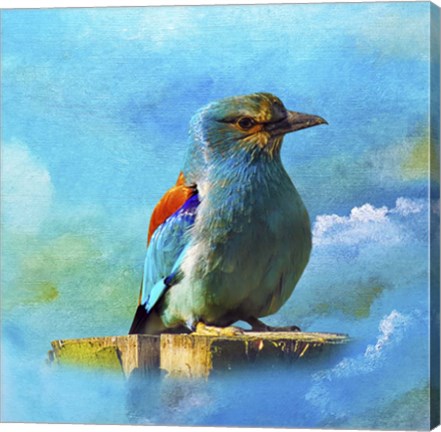 Framed Blue Bird 2A Print