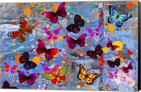Framed Butterflies Season Print