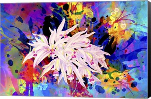 Framed Flower Design 6AB Print