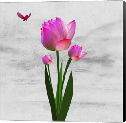 Framed Flower Design 7ABC Print