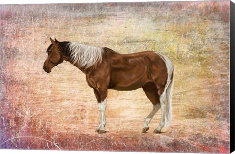 Framed Horse Image Print