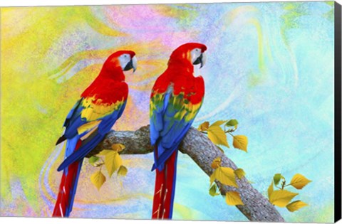 Framed Parrots 87A Print