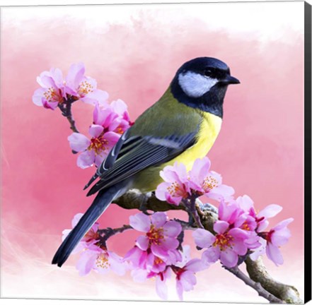 Framed Spring Bird 3A Print