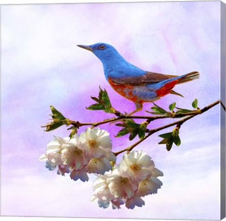 Framed Spring Bird 3B Print