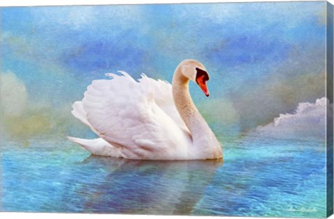 Framed Swab 8B Print