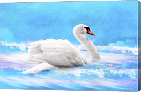Framed Swan 8A Print