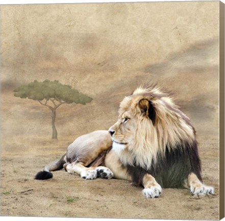 Framed King 1A Print