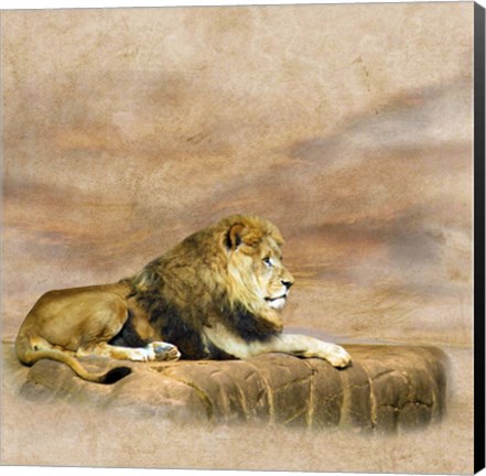 Framed King 1B Print