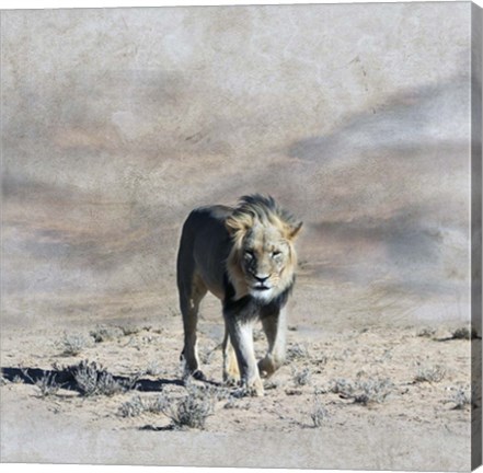 Framed King 2A Print