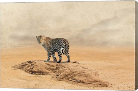 Framed Leopard 2 Print
