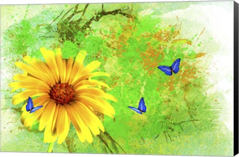 Framed Yellow Flower And Butterflies Print